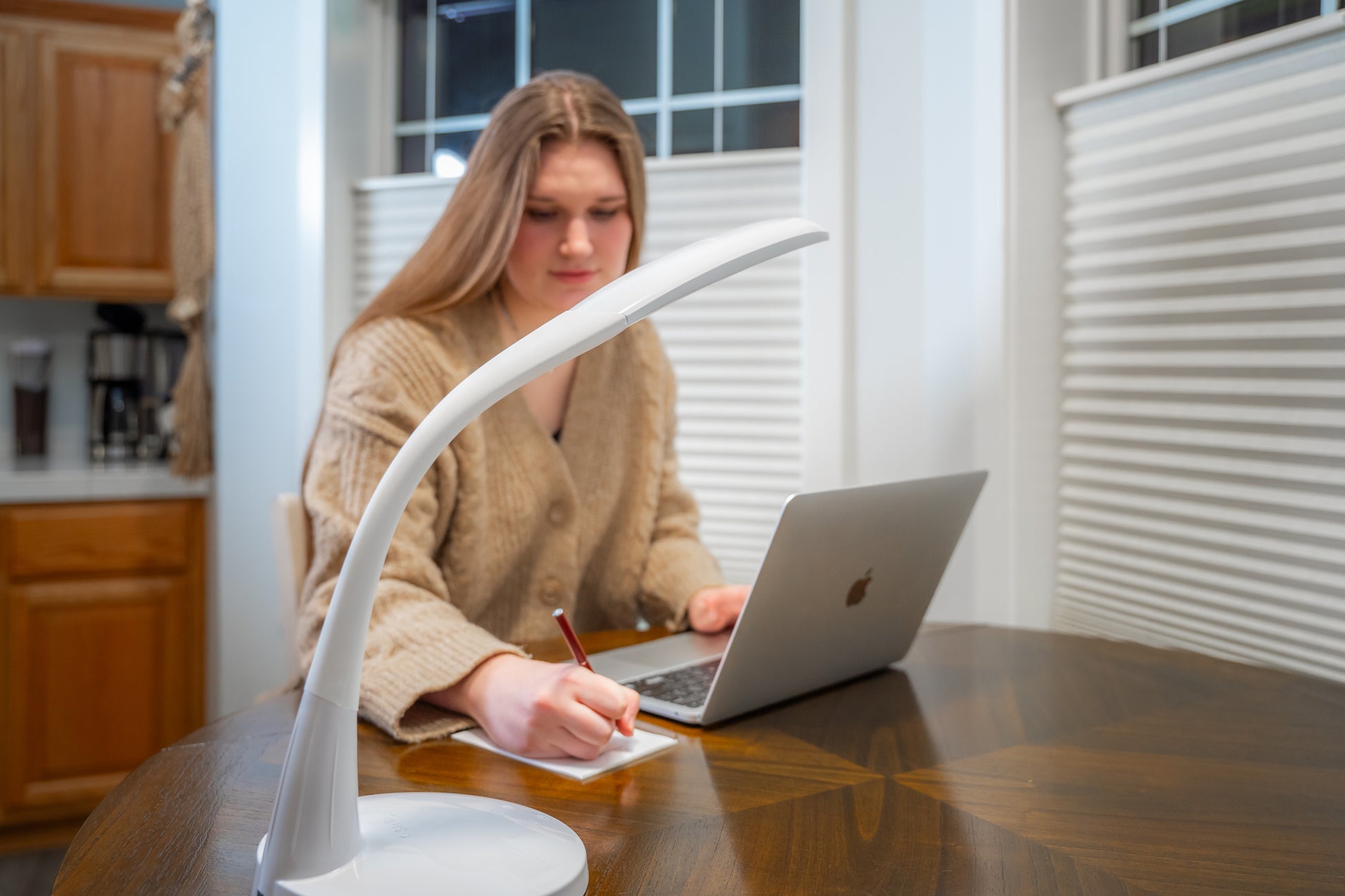 Stella»TWO LED Task Lamp - Pallet Special (96 Units)
