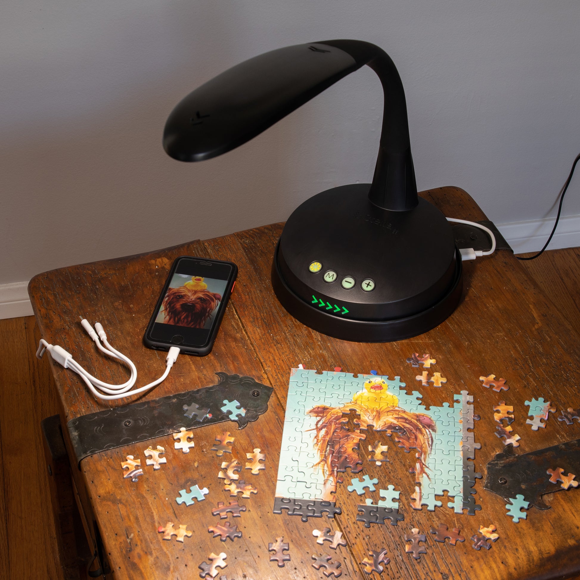 Stella»GO Portable Task Lamp + Charging Pad - Pallet Special (64 Units)