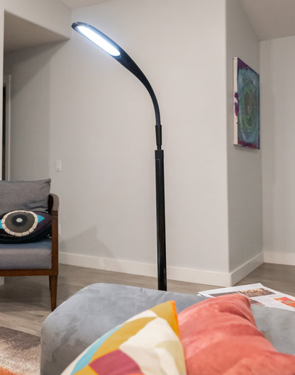 Stella»SKY TWO LED Floor Lamp - Bulk Buy (Case of 3)
