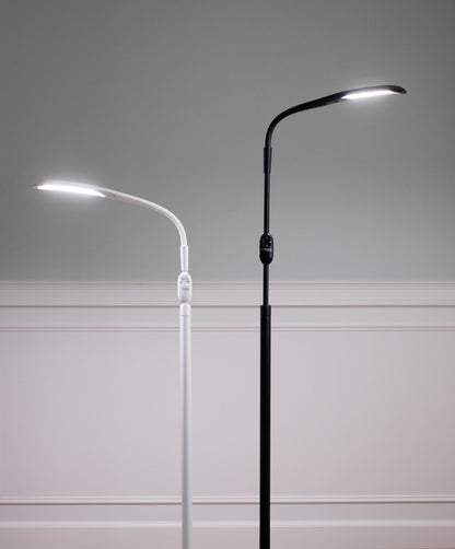 Stella»SKY TWO LED Floor Lamp - Bulk Buy (Case of 3)
