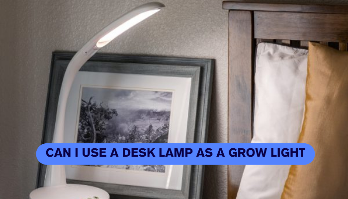 Can I use a desk lamp as a grow light